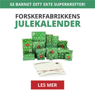 Julekalender 2024